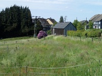 GTW 030618MK BeWaWo-pre 09  Bergische Idylle oberhalb der Wuppertalsperre