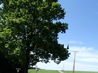 GTW 030618MK BeWaWo-pre 12  Bei Kormannshausen