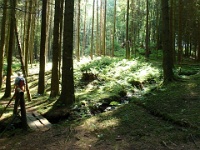 GTW 030618MK BeWaWo-pre 13  Den Weg am Leiverbach entlang kennen nicht viele Hückeswagener.