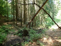 GTW 030618MK BeWaWo-pre 17  Zwischen Leiverbach und Böckel