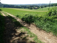 GTW 030618MK BeWaWo-pre 19  Blick über Pixberg zum Stadtzentrum