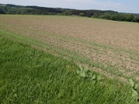 GTW 030618MK BeWaWo-pre 22