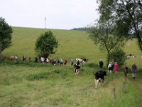 GTW 030618TS BeWaWo 03  Merkwürdige Zaungäste