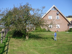 Wenn du die alle heute ernten willst, Junge ...