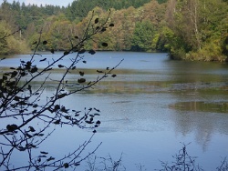 Herbstliche Idylle an der Wuppervorsperre.