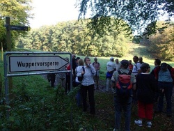 Hier verlassen wir den Bergischen Panoramasteig und wandern im Tal des Höhsieper Bachs hinauf nach Engelshagen.