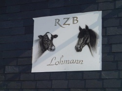 Der RinderZuchtBetrieb Lohmann in Steffenshagen hat schon manchen Preis für seine Tiere erhalten.