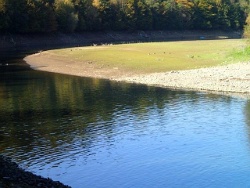 Kanadagänse an der Wuppertalsperre