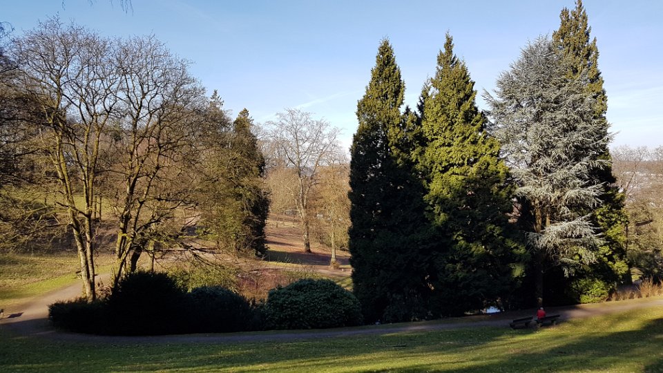 GTW-050519 mar-pre 12