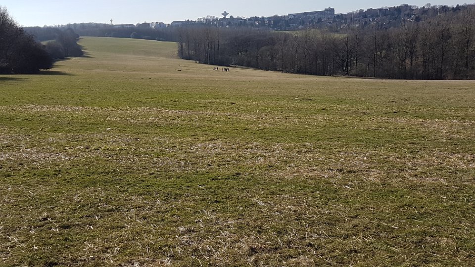 GTW-050519 mar-pre 23