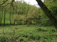 GTW-050519 joe 08  Im Murmelbachtal