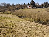 GTW-050519 mar-pre 21  Auch diese Aufnahmen wurden im Februar gemacht.