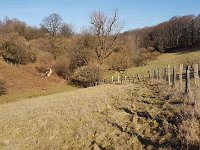 GTW-050519 mar-pre 22