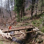 GTW-070418 joe 006  um das gefällte Holz abzutransportieren.