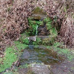 GTW-070418 joe 007  Quelle im Tal der Deipenbecke