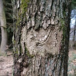 GTW-070418 joe 008  Ein Kaugummi-Lächeln