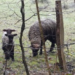 GTW-070418 mar 028  Bis zum nächsten Mal!