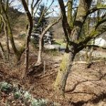 GTW-070418 mar 051  Die alte Bahntrasse Richtung Wuppertal