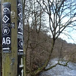 GTW-070418 mar 057  Ein Schilderwald im Wald