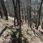 P4070036  Nun geht es 100 Höhenmeter steil herab ins Tal der Wupper.