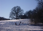 Schlittenfahrt bei Pixberg