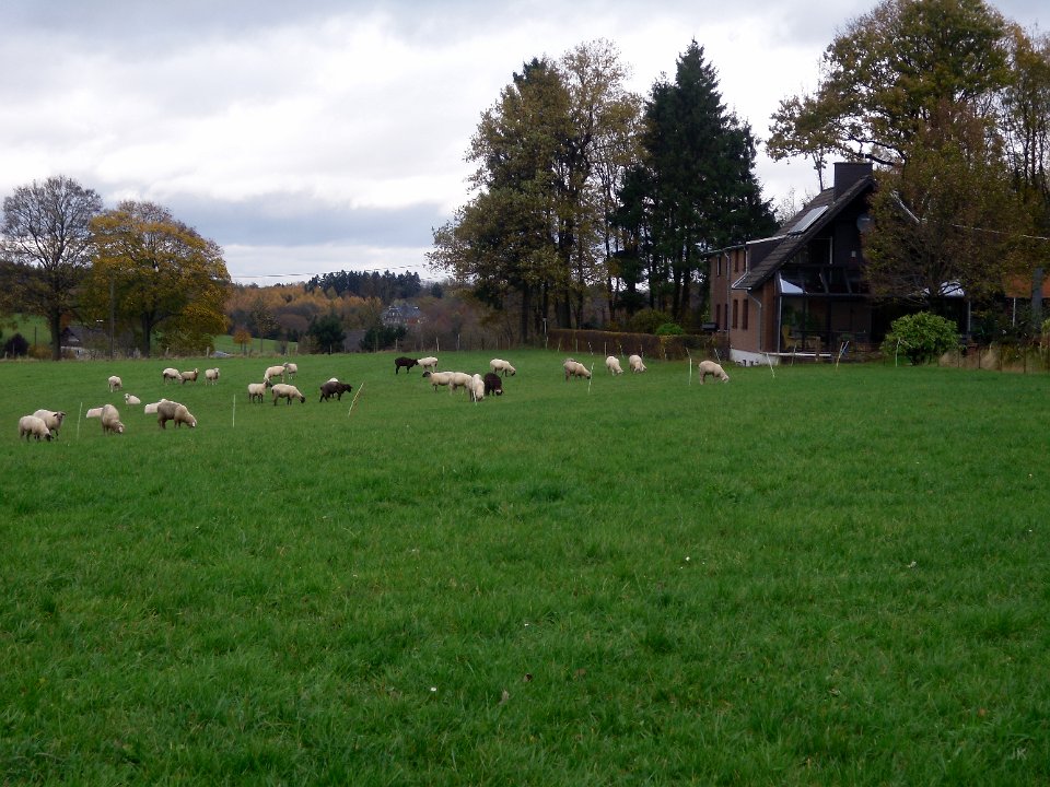 gtw-09-11-13-dhuenn 04