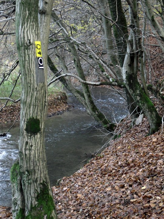 gtw-09-11-13-dhuenn 14