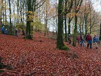 GTW-091119 joe 02  (GS) Die Wanderer der Großen Strecke orientieren sich zunächst Richtung Wickhausen.