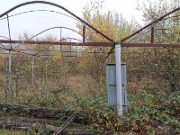 GTW-091119 joe 07  (GS) Die Stahlgerippe der Gewächshäuser vom ehemaligen Geranienmarkt Wickhausen werden vom Bergischen Dschungel überwuchert.