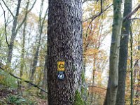 GTW-091119 joe 10  (GS) Ein kurzes Stück folgen wir dem Bergischen Panoramasteig (gelbes Zeichen) und dem Rundweg Wermelskirchen.