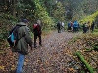 GTW-091119 mar 10  (KS) An den Teichen im Waldgebiet Große Ledder