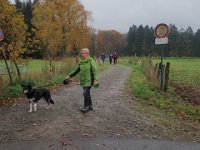 GTW-091119 mar 13  (KS) Der Aufstieg ist fast geschafft.