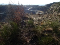 GTW 10.04.17 lindlar-vorw-mk 19  ... meist ohne die sonst in Steinbrüchen üblichen Sprengungen.