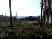 GTW 10.04.17 lindlar-vorw-mk 21  Die Wanderer der Großen Strecke verlassen den Steinhauerpfad, ---