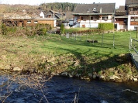 GTW 10.04.17 lindlar-vorw-mk 27  Die Lindlarer Sülz vereinigt sich später mit der Kürtener Sülz zur ... SÜLZ.