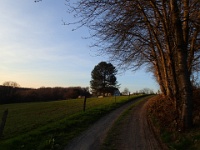 GTW 10.04.17 lindlar-vorw-mk 31  Nach einem langen Anstieg erreichen wir die Hofschaft Hönighausen.