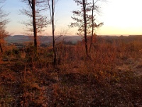 GTW 10.04.17 lindlar-vorw-mk 39  Abendstimmung auf der Vorwanderung der Wanderführer über den Steinbrüchen