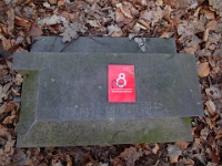 GTW 10.04.17 lindlar-vorw-mk 40  Unterwegs auf dem Steinhauerpfad in Lindlar, dem Bergischen Streifzug Nr. 8.