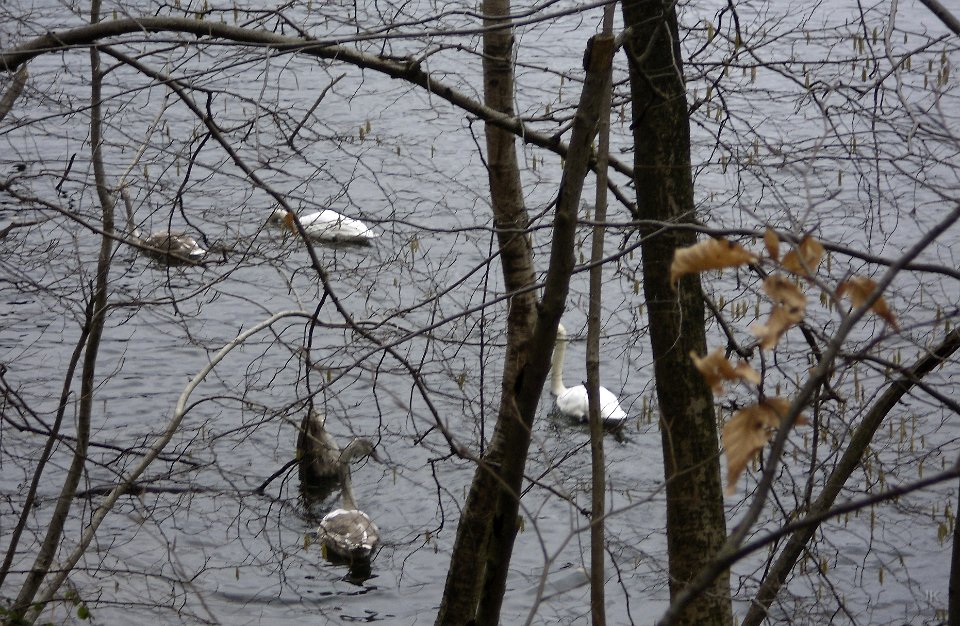 GTW 15-02-14 Heimatweg 10