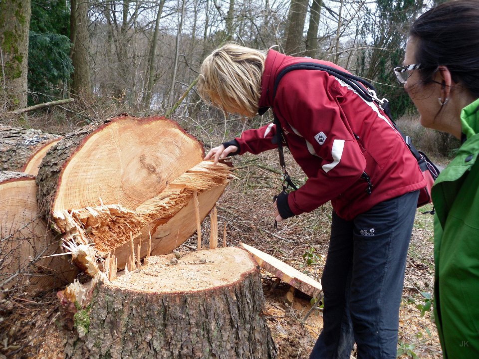 GTW 15-02-14 Heimatweg 15