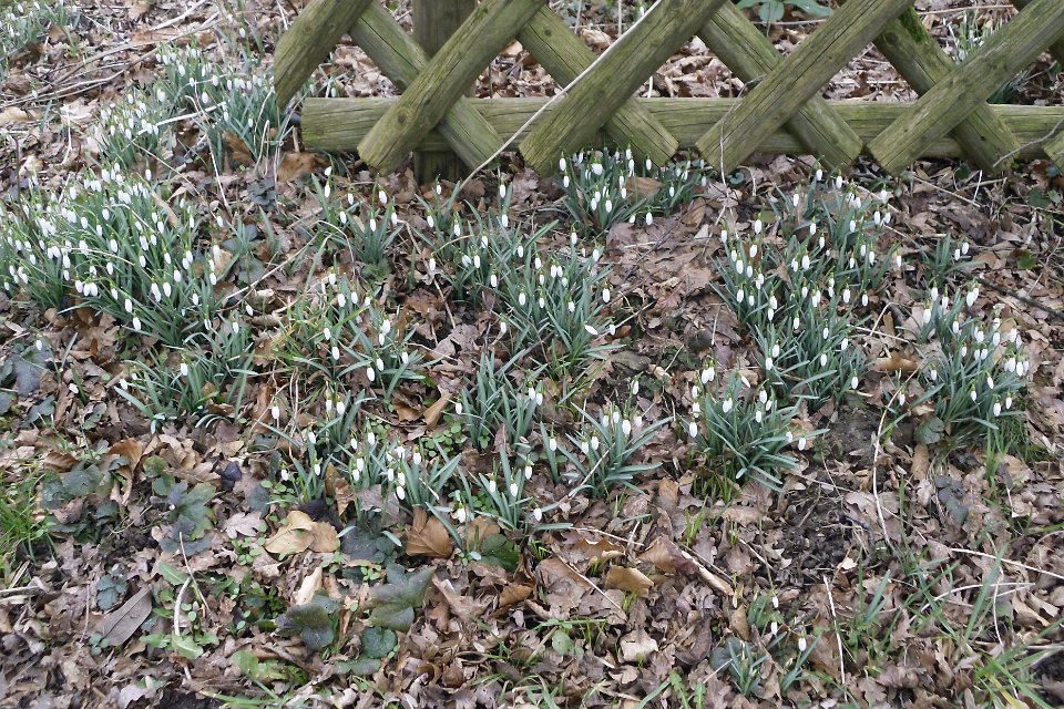 GTW 15-02-14 Heimatweg 17