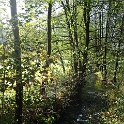 GTW 151017 Neye 07  Der Neye-Bach