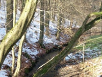 GTW-180218 joe 017  Die Kleine Dhünn an der Knochenmühle