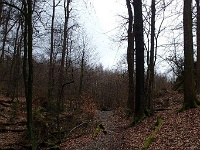 GTW-180318 mar 001  Zunächst sind wir unterwegs auf der Kleinen Strecke (KS).