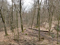 GTW-180318 mar 002  (KS) Auf teils nassem Weg ging es hinab ins Eifgental.