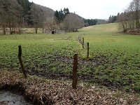 GTW-180318 mar 003  (KS) Das Naturschutzgebiet Eifgental in der Nähe der Rausmühle