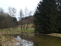 GTW-180318 mar 012  (KS) Das sollte vor hundert Jahren ein Teich zum Kahn fahren für die Gäste der Rausmühle werden.