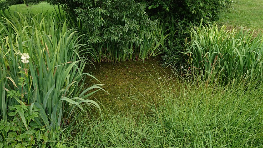 Quelle der Bever - (c) J. Kutzner