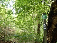 GTW 230917 Burg 05  Das "S" im Kreis bezeichnet den "Klingenpfad", den Rundwanderweg um Solingen.