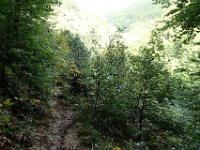 GTW 230917 Burg 09  Pfad herunter ins Eschbachtal auf der Remscheider Seite